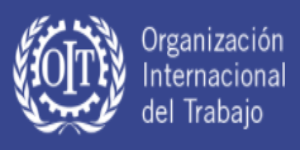 Bases de datos de la OIT (Organización Internacional del Trabajo)