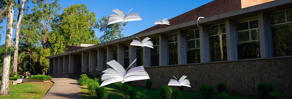 Nueva Suelta de Libros en Biblioteca Central