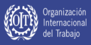 Bases de datos de la OIT (Organizaci�n Internacional del Trabajo)