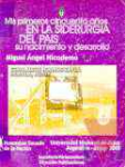 Mis primeros cincuenta aos en la siderurgia del pas. Su nacimiento y desarrollo