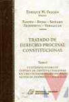 Tratado de derecho procesal constitucional