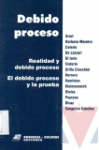 Debido proceso