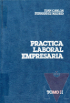 Prctica laboral empresaria