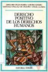 Derecho positivo de los derechos humanos