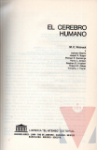 El cerebro humano