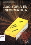 Auditora en informtica