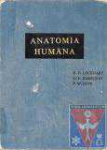 Anatoma humana