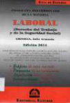 Programa desarrollado de la materia laboral (Derecho del trabajo y de la seguridad social)