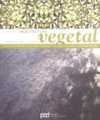 Arquitectura vegetal