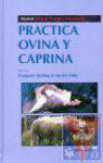 Prctica ovina y caprina