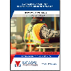 Seguridad Industrial IV