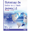 Sistemas de informacin gerencial