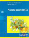 Neuroanatoma