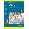Ciruga