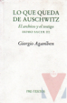 Lo que queda de Auschwitz