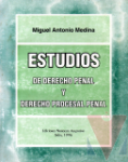 Estudios de Derecho penal y derecho procesal penal