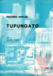 Tupungato