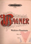 Phantasie ber die oper die walkre von wagner