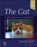 The cat