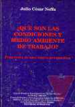 Qu son las condiciones y medio ambiente de trabajo?