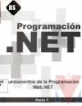 Fundamentos de Programacin Web. Net