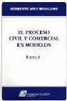 El proceso civil y comercial en modelos