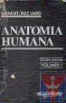 Anatoma humana