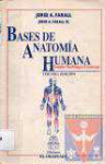 Bases de anatoma humana