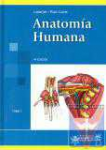 Anatoma humana